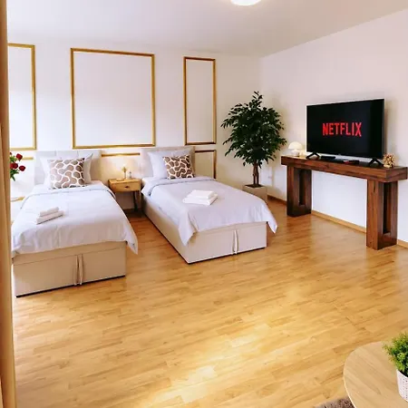 Modernes City-apartment Mit Grossem Balkon Lejlighed